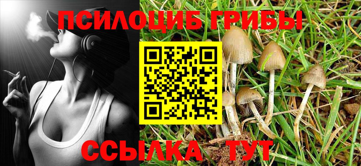 Псилоцибиновые грибы Cubensis Минеральные Воды