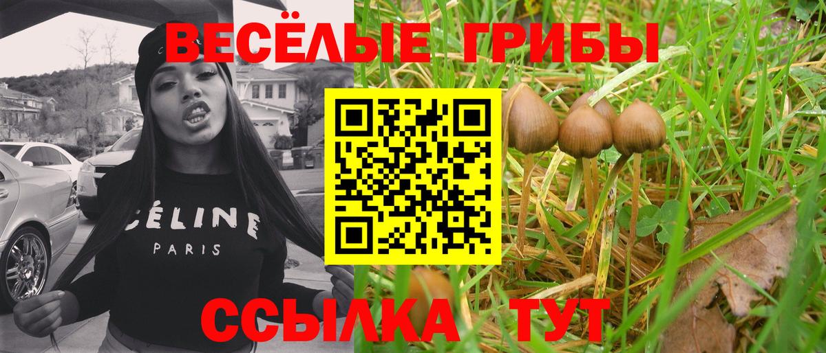 Псилоцибиновые грибы Psilocybine cubensis  Вход с VPN  Минеральные Воды  Псилоцибиновые грибы мухоморы 